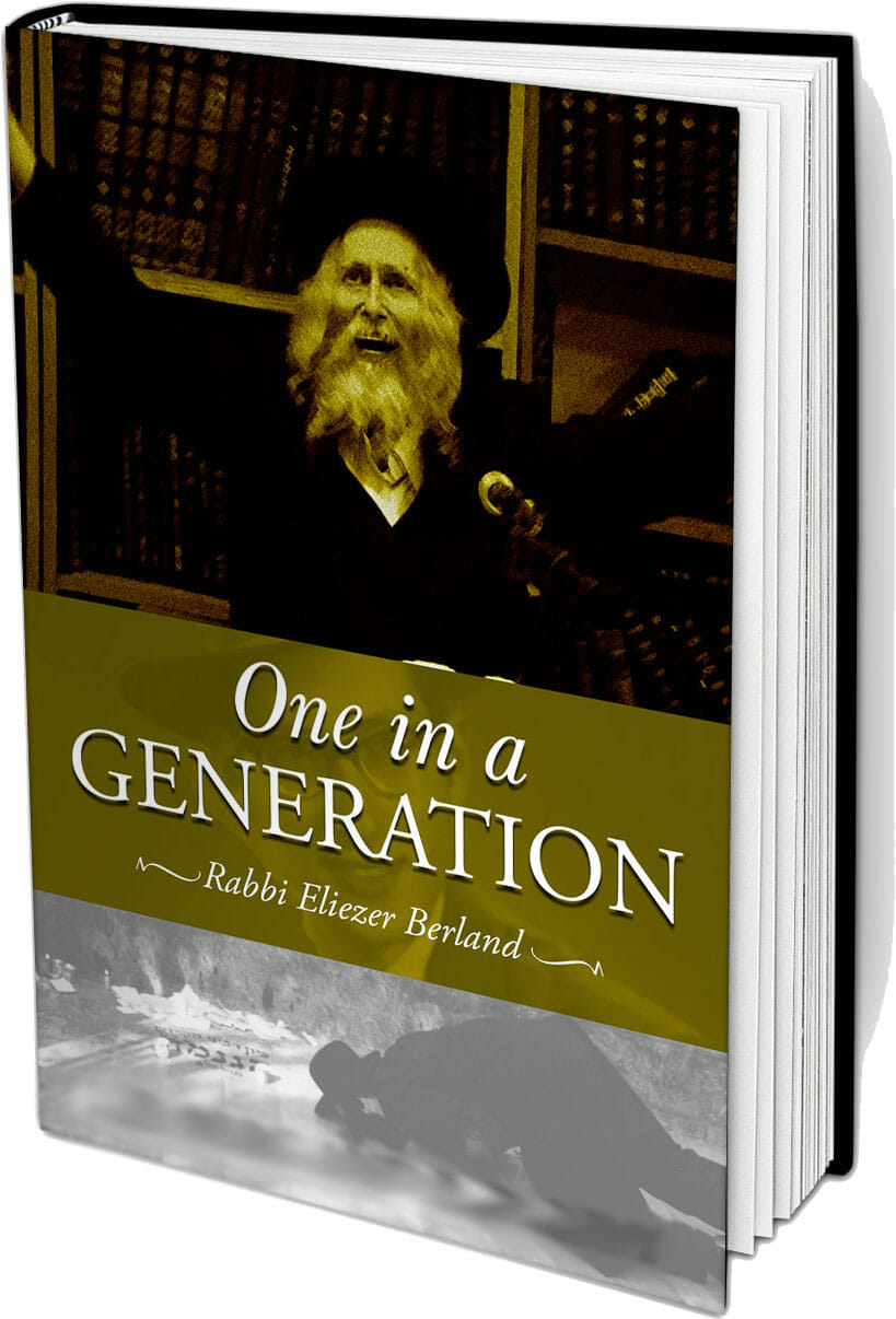 כריכת One in a Generation - Volume 2